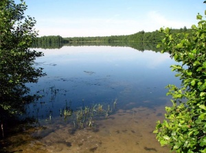 Озеро Паленое