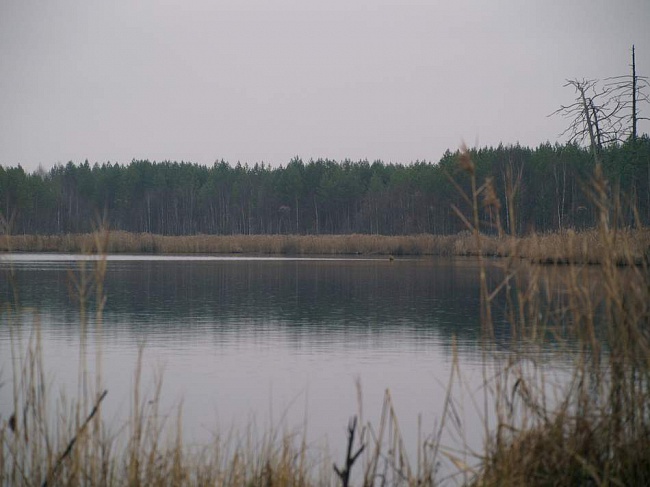 Озеро Шеренга 